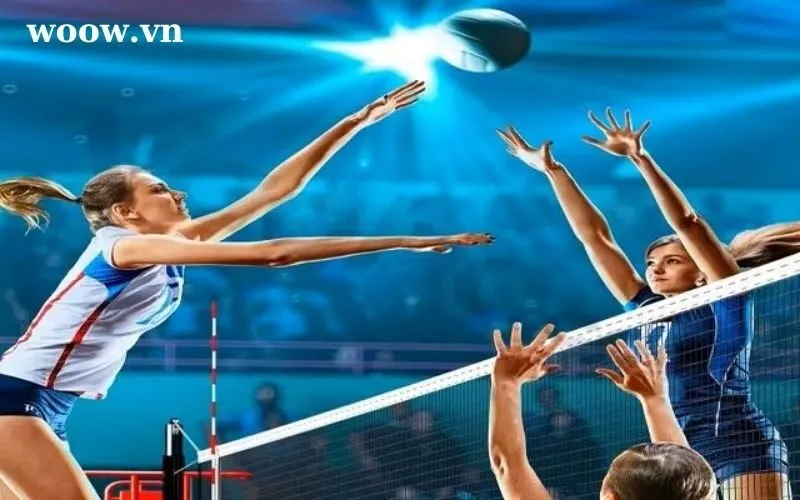 Phần mềm soi kèo bóng chuyền