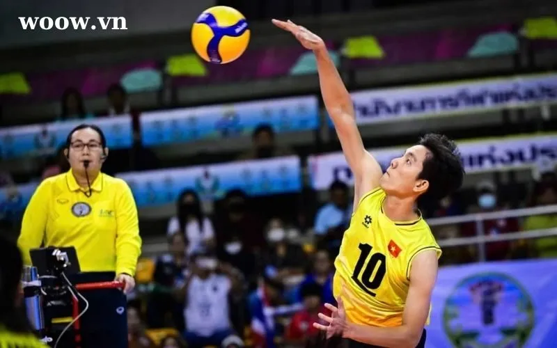 Soi kèo bóng chuyền V.League