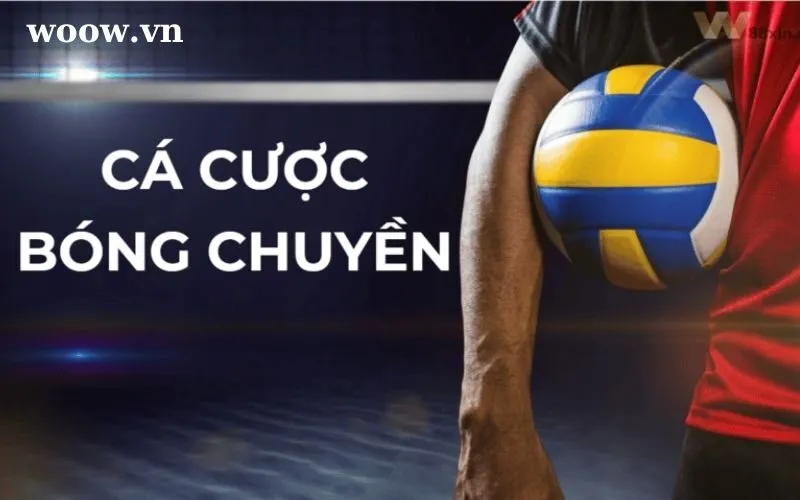Soi kèo bóng chuyền V.League